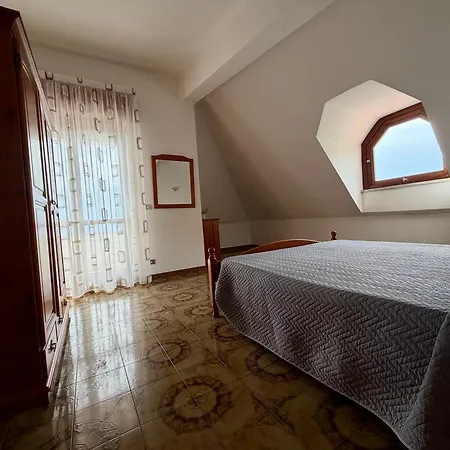 Rare House *